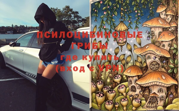гидра Балабаново
