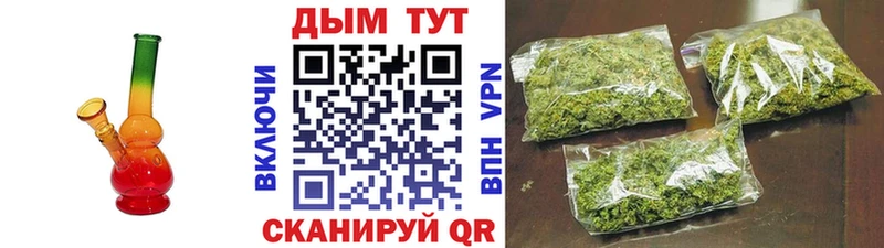 Бошки марихуана марихуана  хочу наркоту  Всеволожск 